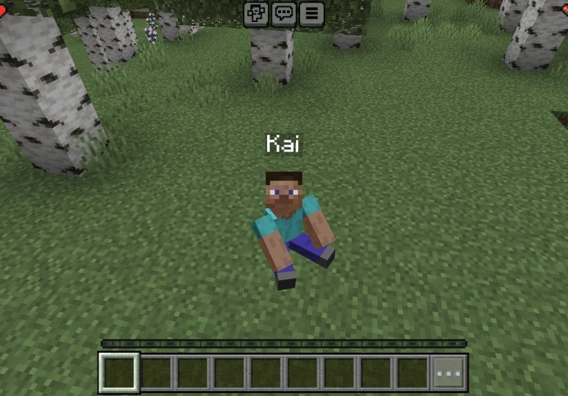 How to Get Mods on Minecraft: For Desktop, iPhone, & Android