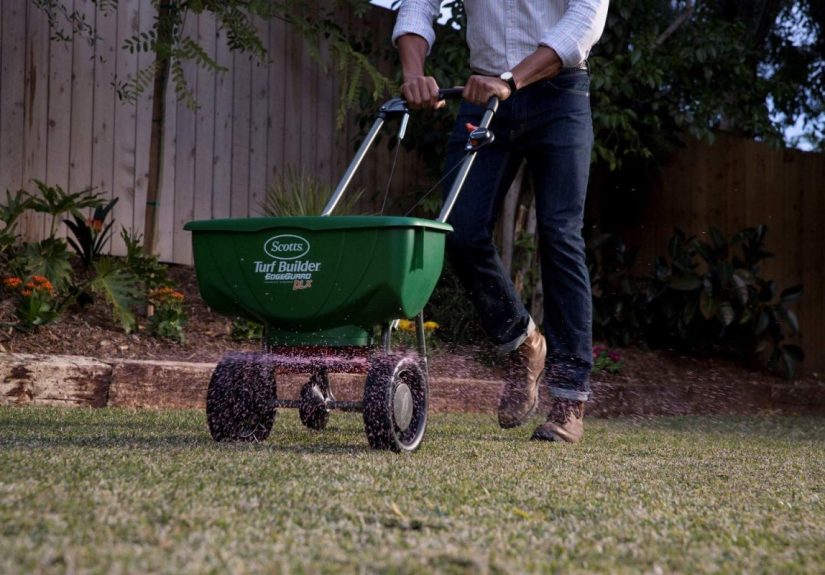 The Best Fertilizers for Centipede Grass - Bob Vila