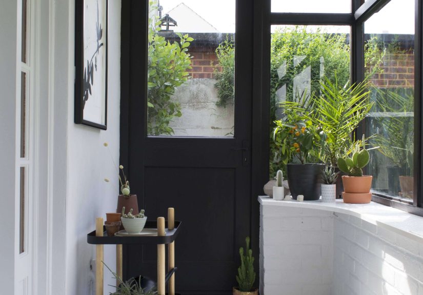 Trending on Gardenista: The Windowsill Gardener