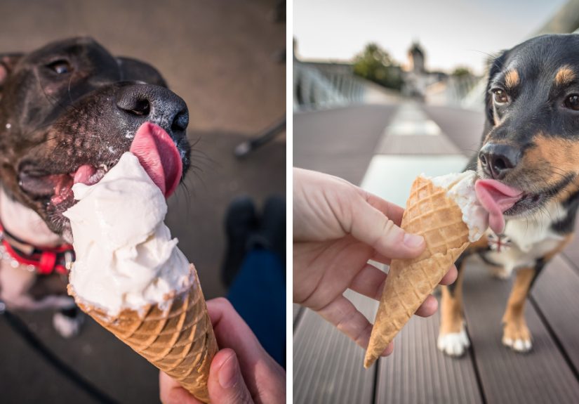 We Love Ice Cream