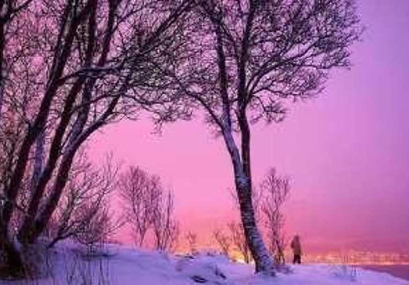 Best Things About Winter