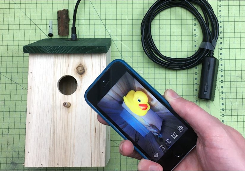Building A WiFi-Enabled Bird Box On The Cheap