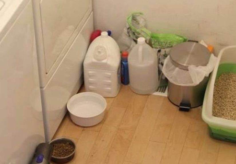 DIY Litter Box Furniture Cabinet