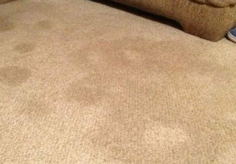 How to Remove Difficult Stains From A Carpet DIY