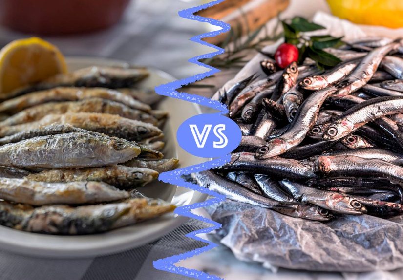 Sardines vs. Anchovies: What‘s the Difference?