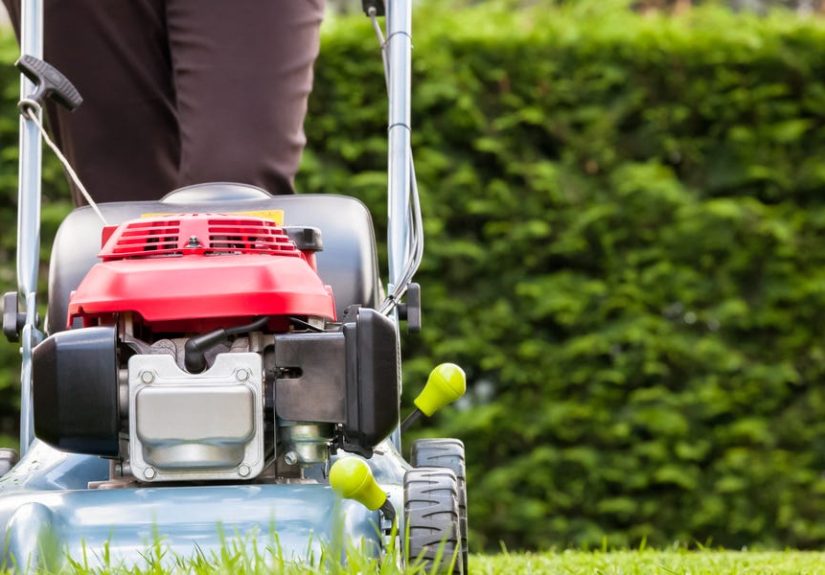 There's a Right Height to Mow Your Lawn. This Is It.