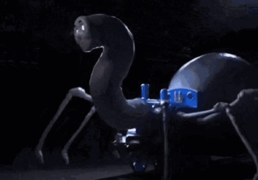 Whats A Random Funny Photo On Your Device?