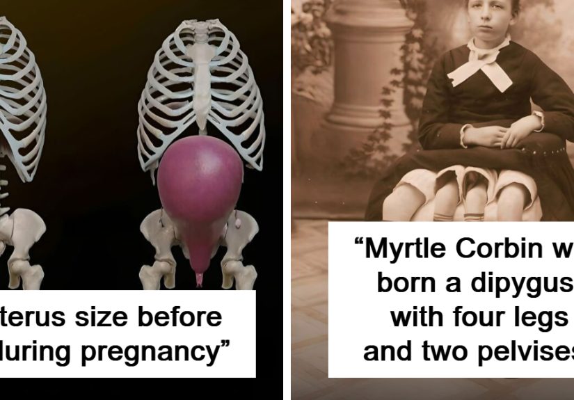“Your Blood Appears Green”: 50 Wild And Fascinating Facts About The Mind And Body That Might Change The Way You See Yourself